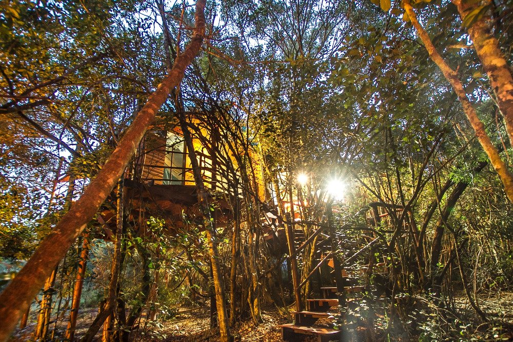 dormir perché dans les arbres